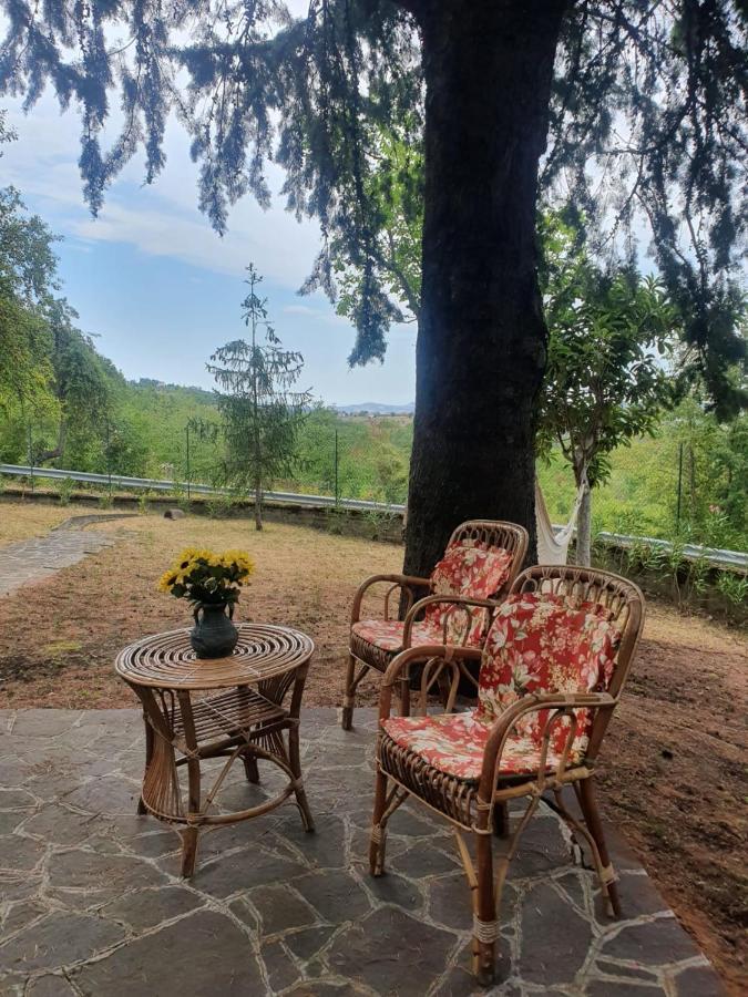 Flamignano: Un Paradiso Nel Verde Villa Tossicia Exterior photo